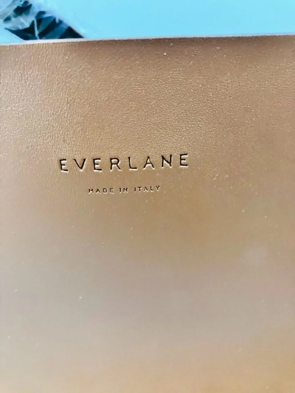 Everlane Tote Bag Brown Leather Handbag For Women